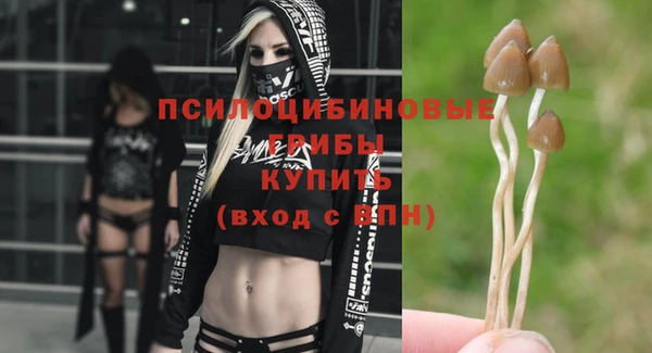 стаф Остров