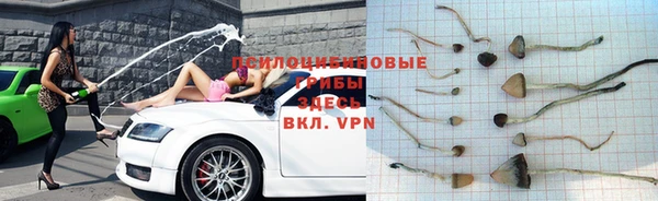 стаф Нязепетровск