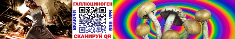 Псилоцибиновые грибы Cubensis  закладка  Осинники 